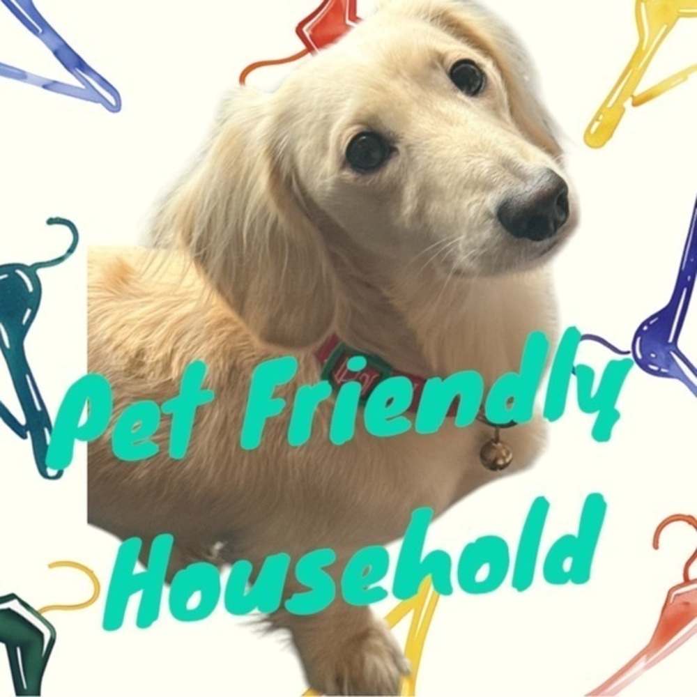 Pet Friendly Household